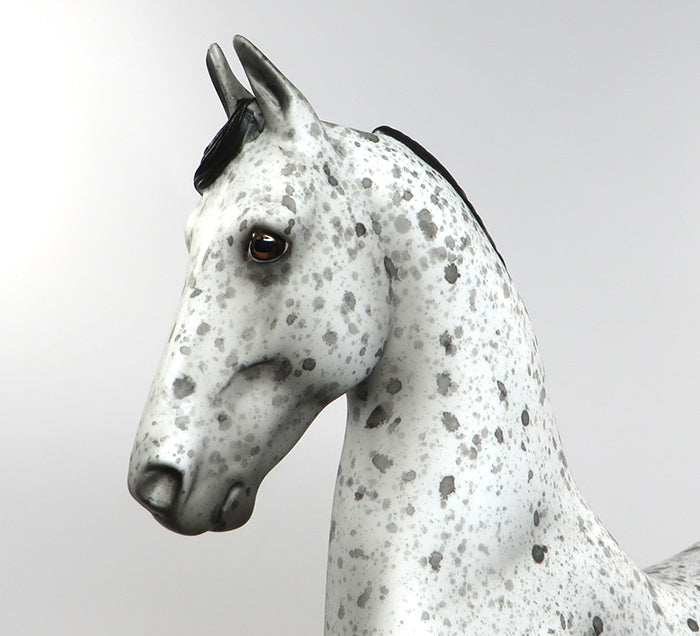 NAPOLEON-OOAK APPALOOSA SADDLEBRED MODEL HORSE PAINTED BY ALLEN KATT 8/8