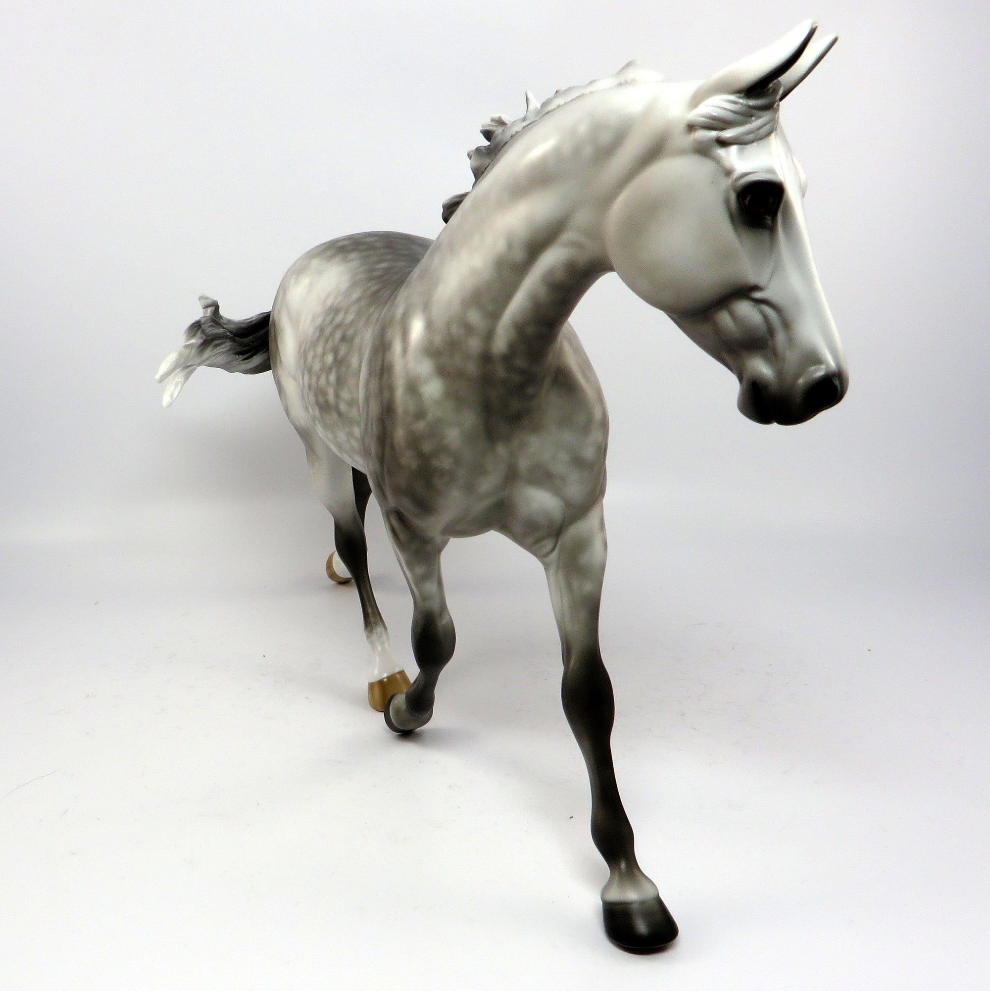 BELLAMY~OOAK STAR DAPPLE GREY PALOUSE MODEL HORSE BY SHERYL LEISURE 6/16/17