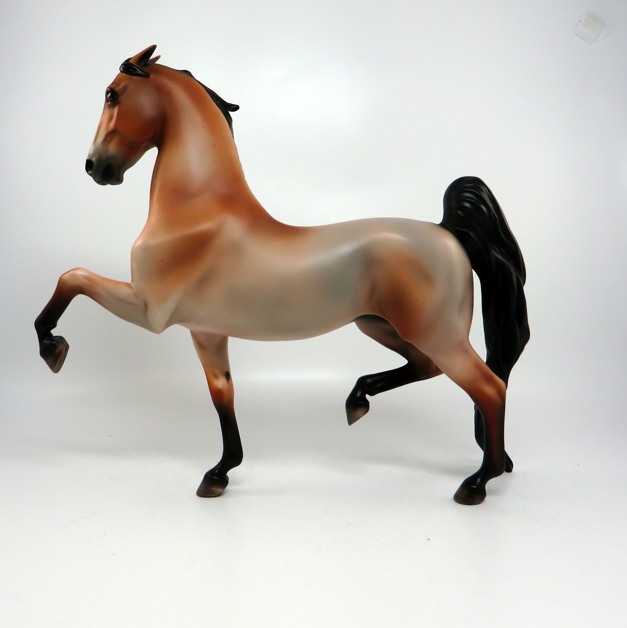 Saddlebred