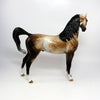 CONCERTO~OOAK STAR DAPPLE BUCKSKIN ARABIAN MODEL HORSE BY SHERYL LEISURE 6/16/17