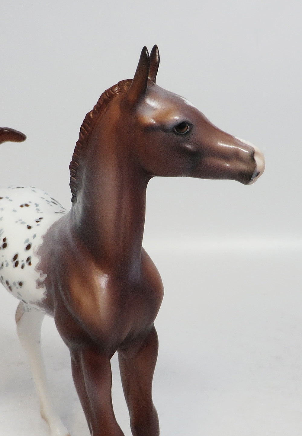 FUMBLE-OOAK CHESTNUT ARABIAN FOAL MODEL HORSE SUPER BOWL SALE 2018