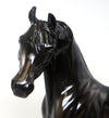 TOO STRONG - OOAK DARK BROWN ARABIAN MODEL HORSE - 2/8