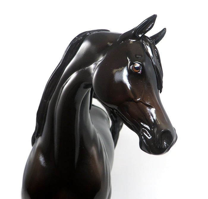 TOO STRONG - OOAK DARK BROWN ARABIAN MODEL HORSE - 2/8