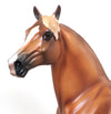 PALOMINO
