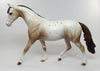 Pony