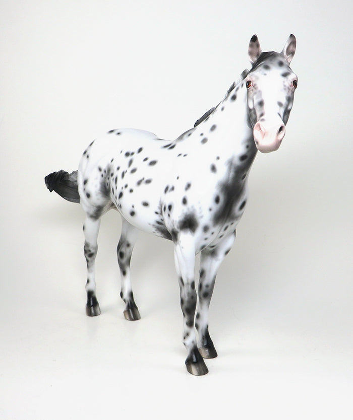 LEOPARD APPALOOSA