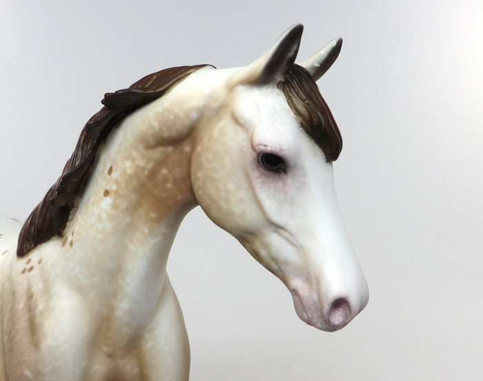 ROANY-OOAK APPALOOSA PONY PAINTED BY ALLEN KATT 08/05