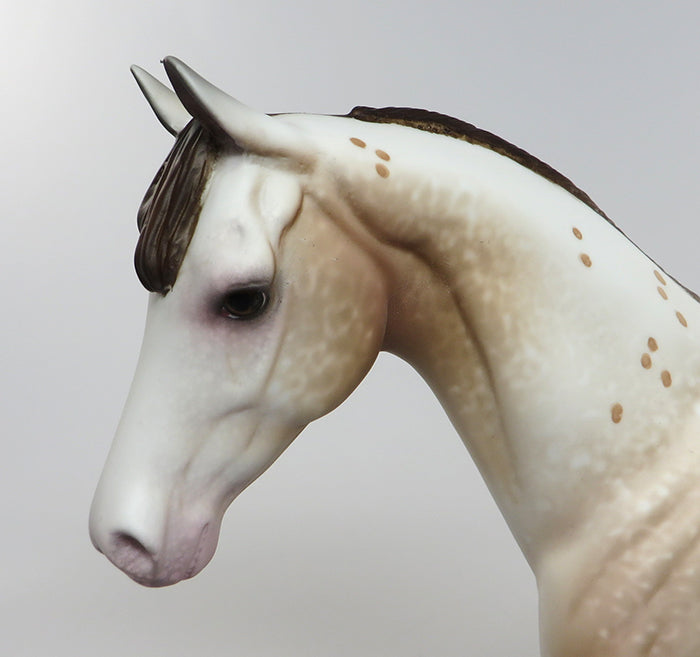 ROANY-OOAK APPALOOSA PONY PAINTED BY ALLEN KATT 08/05
