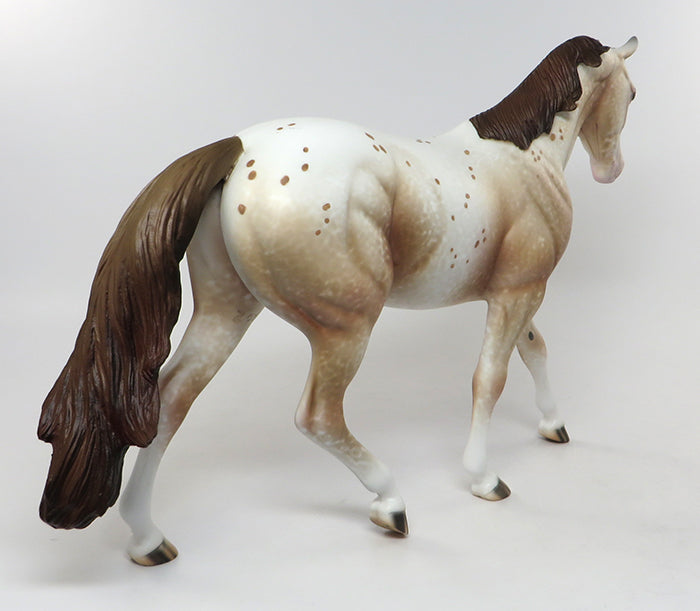Appaloosa