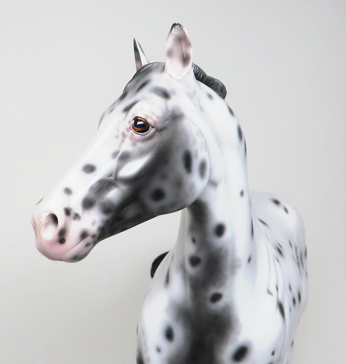 SHERYL LEISURE Horse