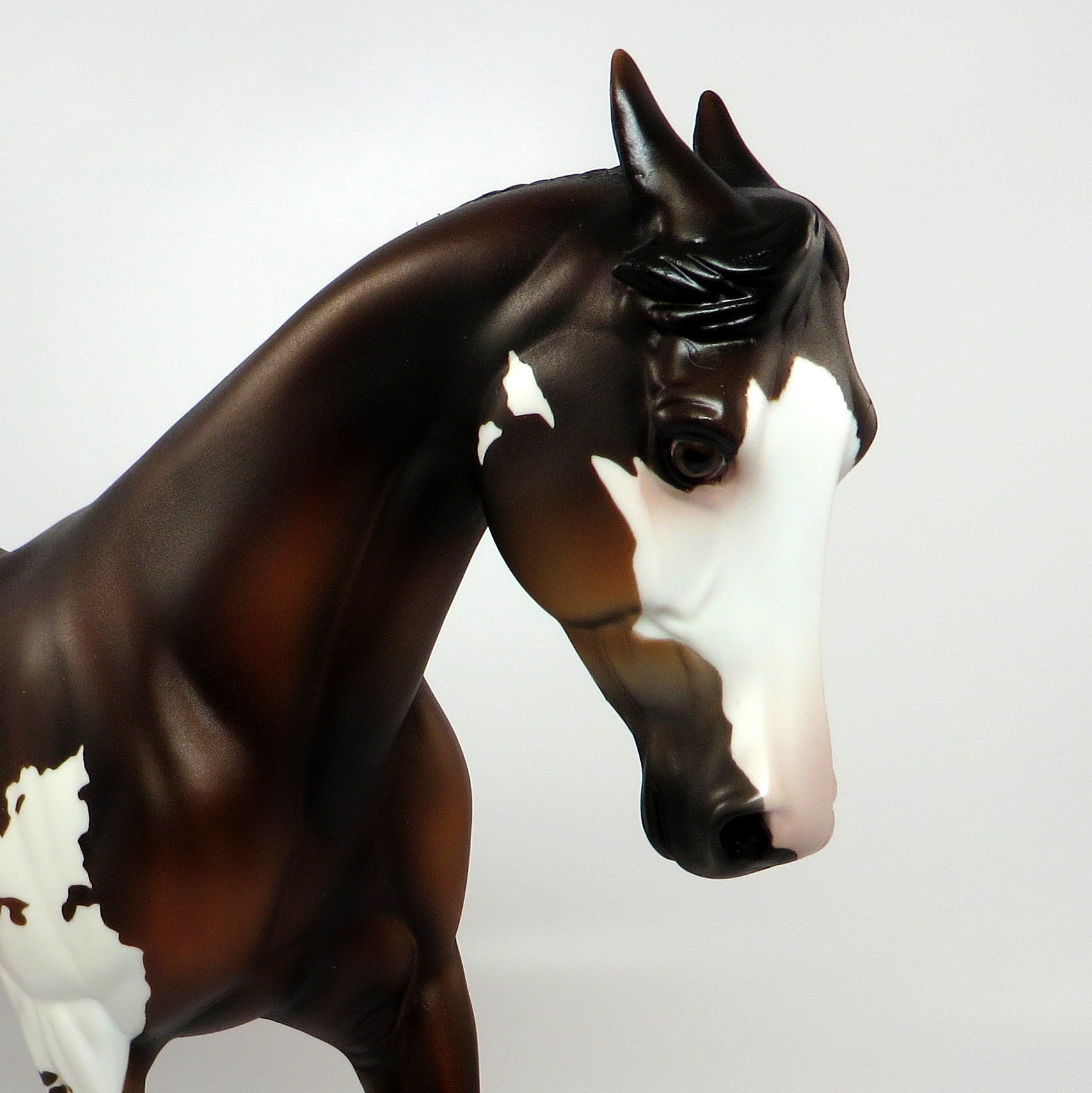 POUR SOME SUGAR ON ME~OOAK BAY PINTO PALOUSE MODEL HORSE 6/16/17