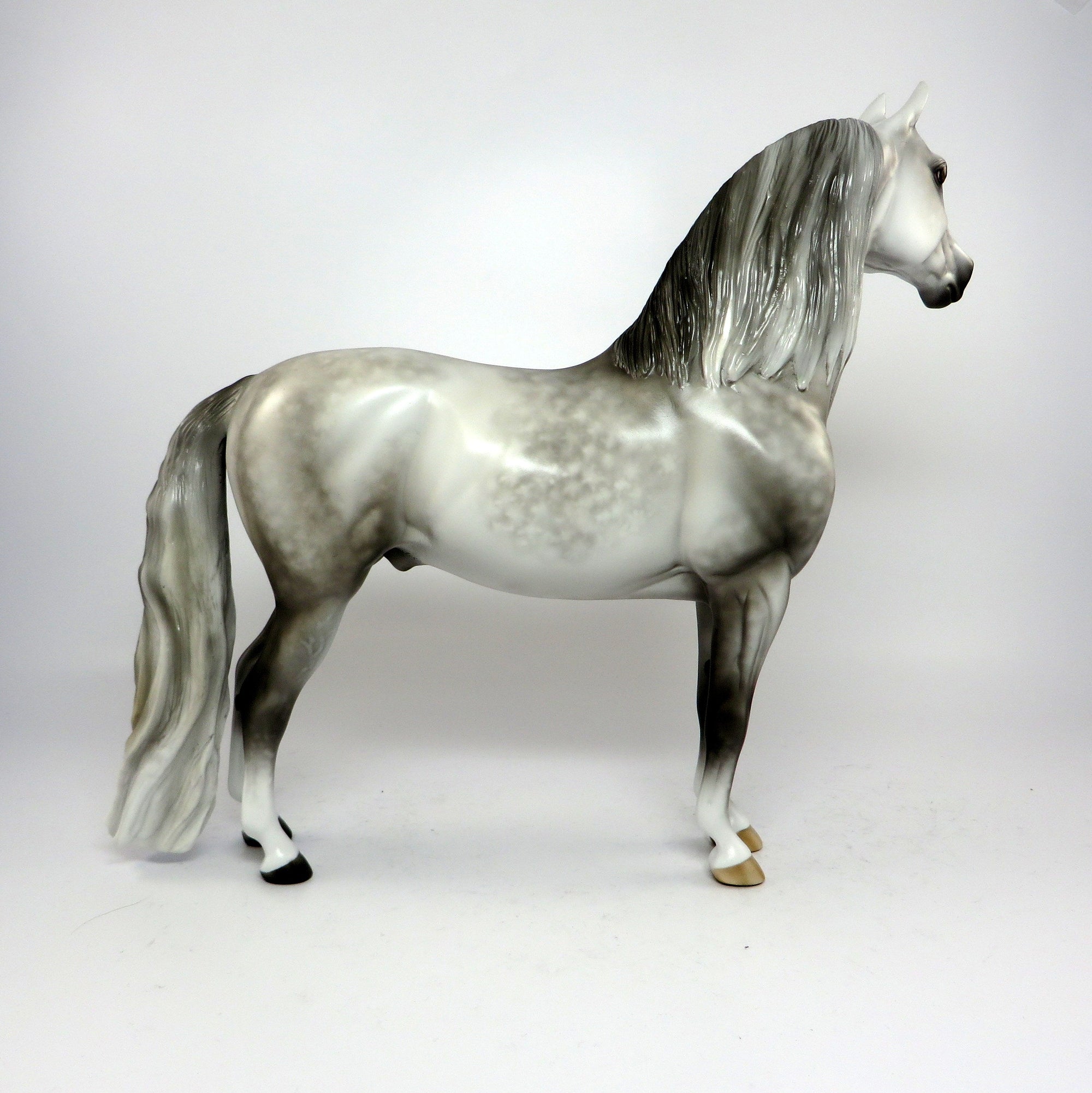 PAVANE~OOAK STAR DAPPLE MORGAN MODEL HORSE BY SHERYL LEISURE  6/16/17