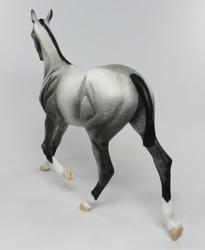 PENELOPE-OOAK DAPPLED GREY YEARLING MODEL HORSE PAINTED BY ALLEN KATT 08/08