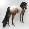 Appaloosa