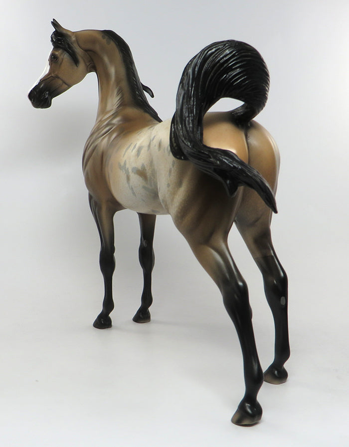 GASSARAT &quot;Courage&quot;-OOAK BUCKSKIN APPALOOSA ARABIAN 08/05