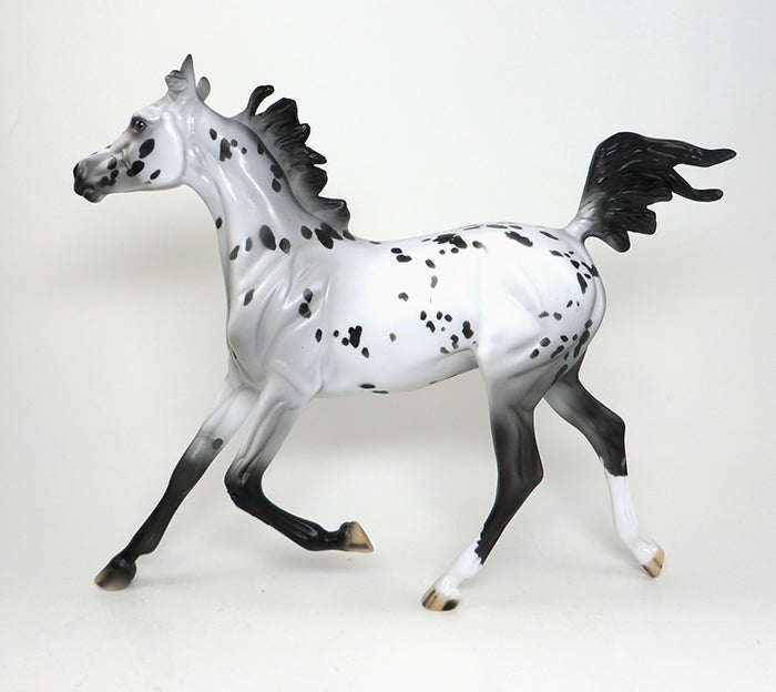 appaloosa one of a kind 