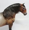 ROAN