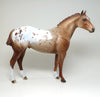 APPALOOSA ISH