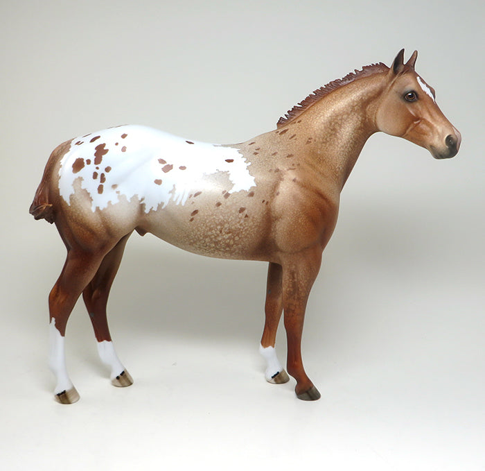 APPALOOSA ISH