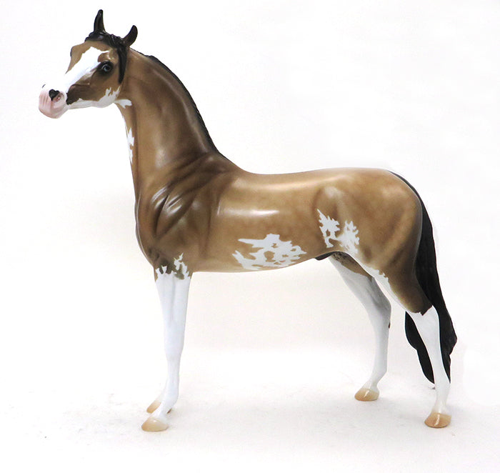 DA PRODIGY - SOOTY BUCKSKIN PAINT ARABIAN - LE3 - 10/23