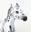 TARGARYEN-OOAK-APPALOOSA YEARLING MODEL HORSE 12/29