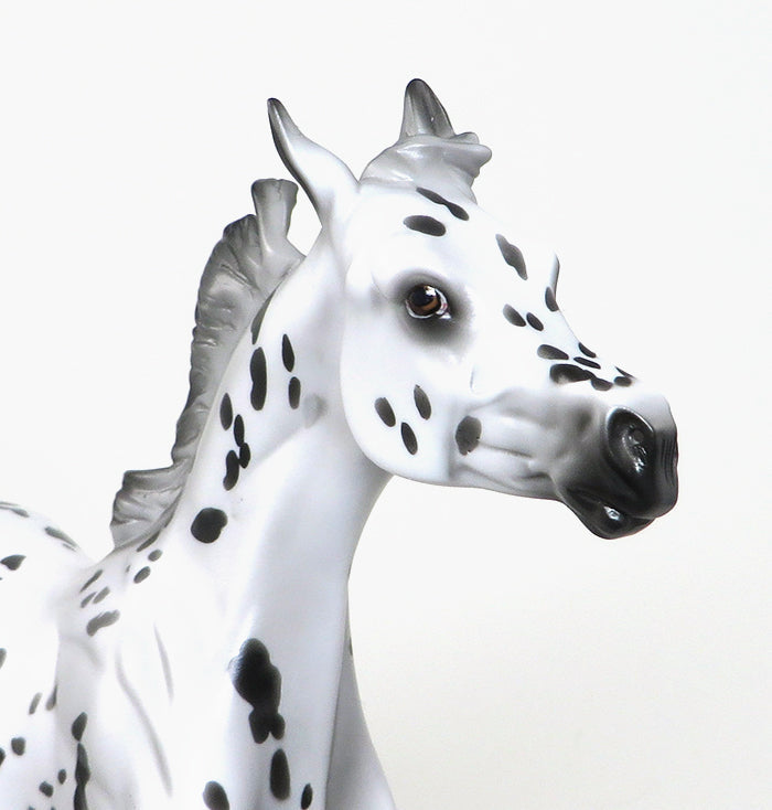TARGARYEN-OOAK-APPALOOSA YEARLING MODEL HORSE 12/29