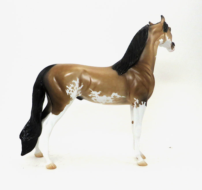 DA PRODIGY - SOOTY BUCKSKIN PAINT ARABIAN - LE3 - 10/23