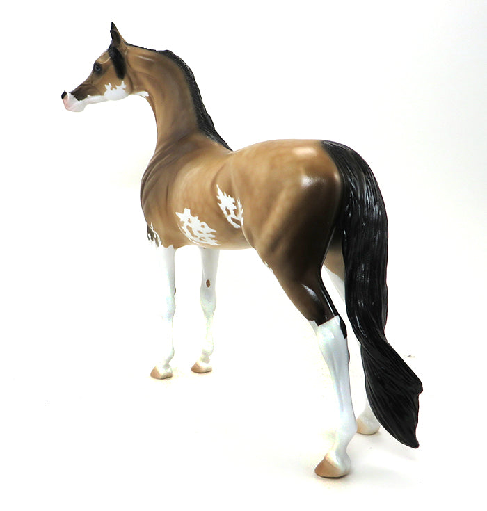 DA PRODIGY - SOOTY BUCKSKIN PAINT ARABIAN - LE3 - 10/23