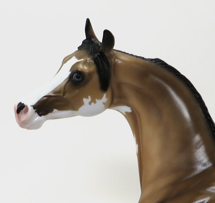 DA PRODIGY - SOOTY BUCKSKIN PAINT ARABIAN - LE3 - 10/23