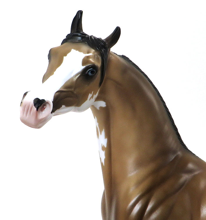 DA PRODIGY - SOOTY BUCKSKIN PAINT ARABIAN - LE3 - 10/23