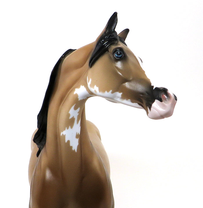 DA PRODIGY - SOOTY BUCKSKIN PAINT ARABIAN - LE3 - 10/23