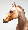 CHESTNUT APPALOOSA