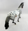 COLEMAN-OOAK APPALOOSA PONY MODEL HORSE 1/13