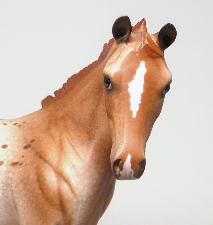 CHER - OOAK CHESTNUT APPALOOSA WEANLING MODEL HORSE - 2/11