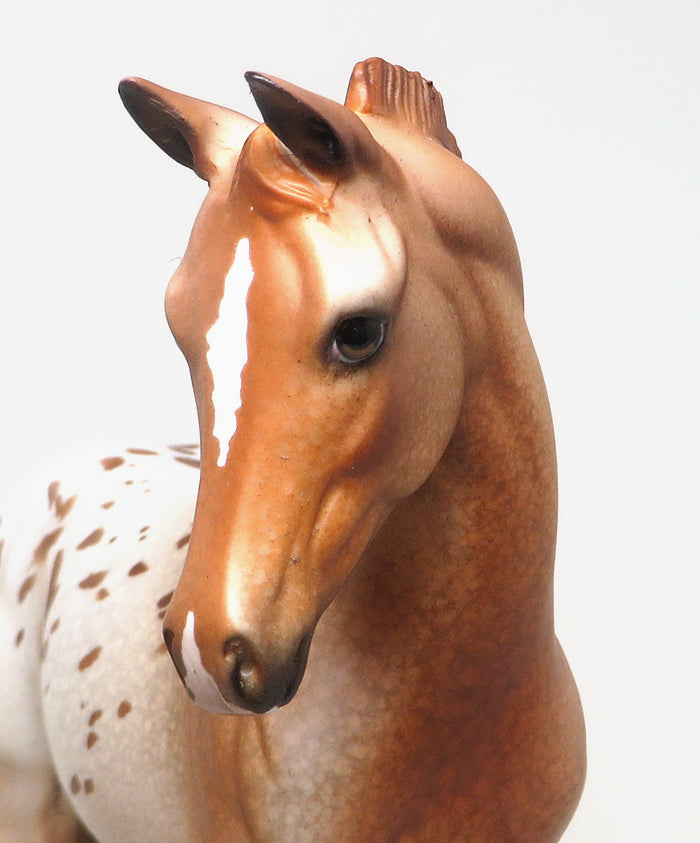 CHER - OOAK CHESTNUT APPALOOSA WEANLING MODEL HORSE - 2/11