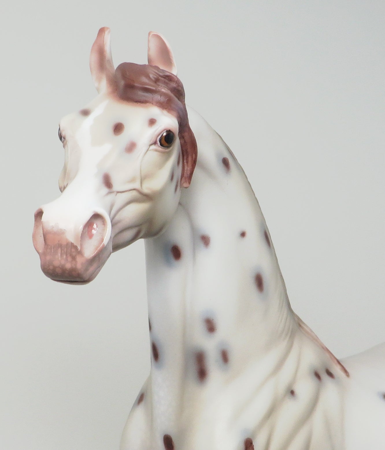 OOAK MODEL HORSE