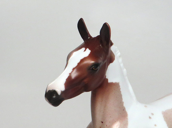 MADILYNN-OOAK DARLING STRAWBERRY ROAN PAINT FOAL MODEL HORSE 8/11