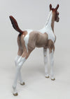 Foal
