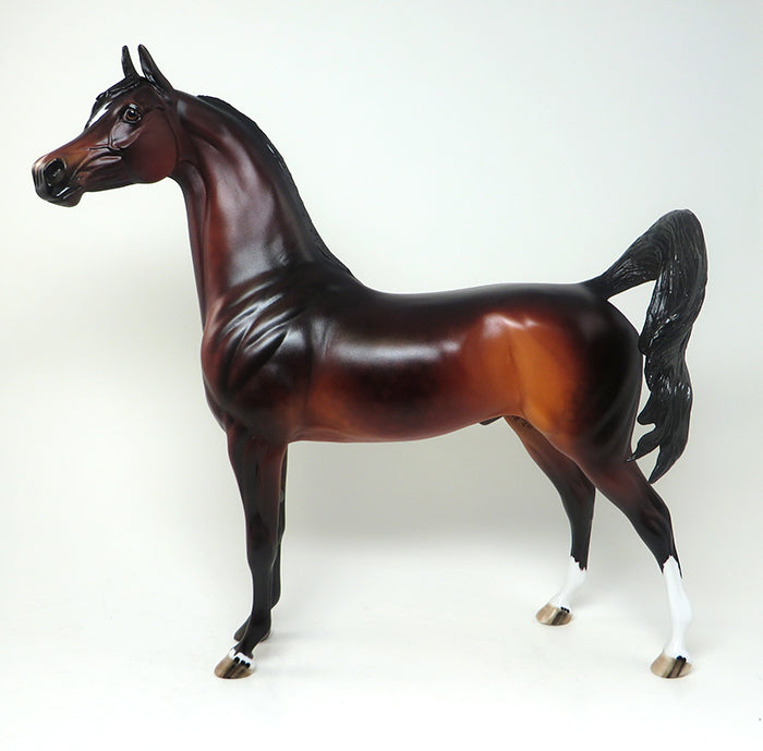 dapple bay arabian