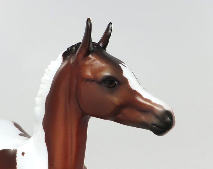 ZOE-OOAK BAY PAINT FOAL MODEL HORSE 8/15