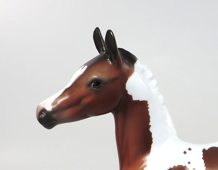ZOE-OOAK BAY PAINT FOAL MODEL HORSE 8/15