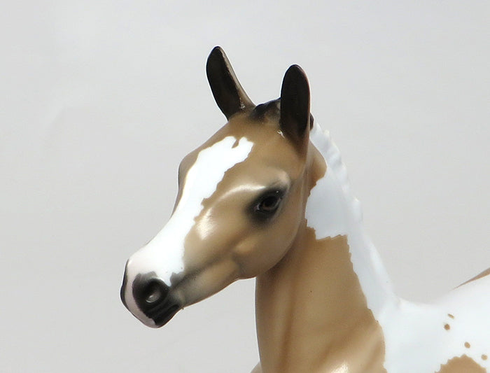 ZELDA-OOAK BUCKSKIN PAINT FOAL MODEL HORSE 8/15