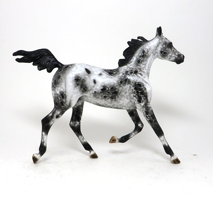 STOP 2 GOSSIP - OOAK LOUD APPALOOSA YEARLING - 10/23