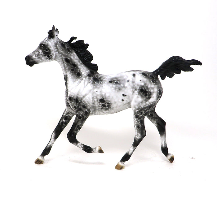 STOP 2 GOSSIP - OOAK LOUD APPALOOSA YEARLING - 10/23