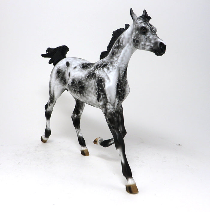 STOP 2 GOSSIP - OOAK LOUD APPALOOSA YEARLING - 10/23