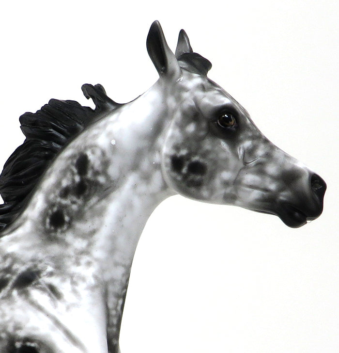 STOP 2 GOSSIP - OOAK LOUD APPALOOSA YEARLING - 10/23