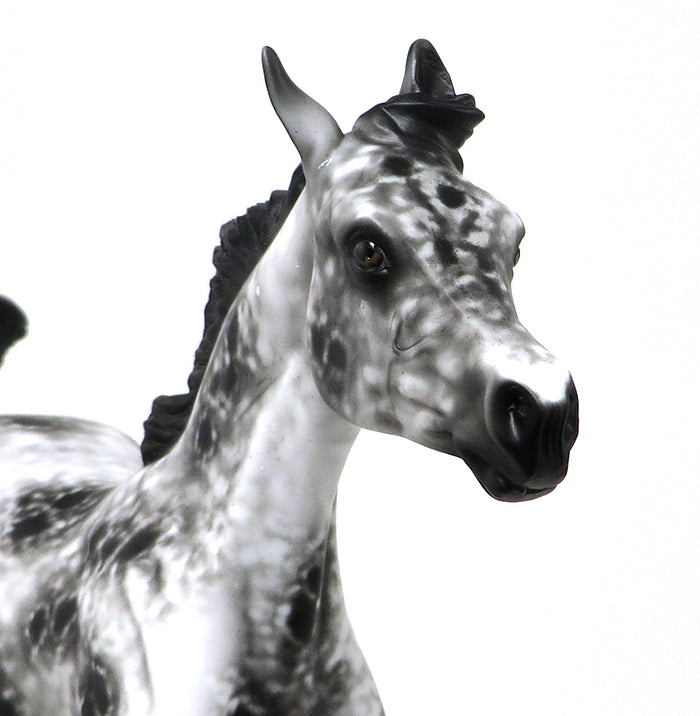 STOP 2 GOSSIP - OOAK LOUD APPALOOSA YEARLING - 10/23