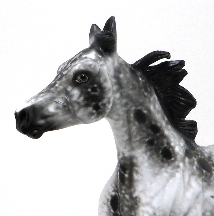 STOP 2 GOSSIP - OOAK LOUD APPALOOSA YEARLING - 10/23