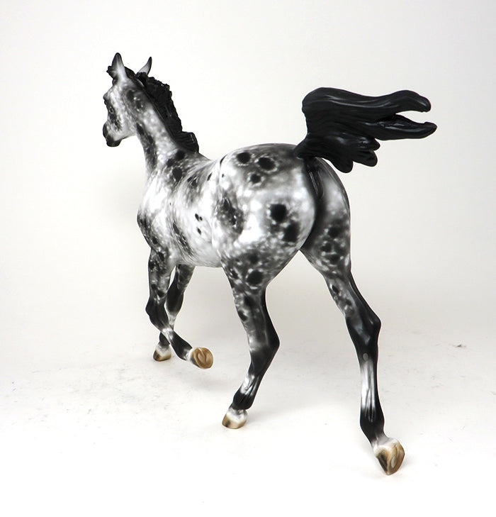STOP 2 GOSSIP - OOAK LOUD APPALOOSA YEARLING - 10/23