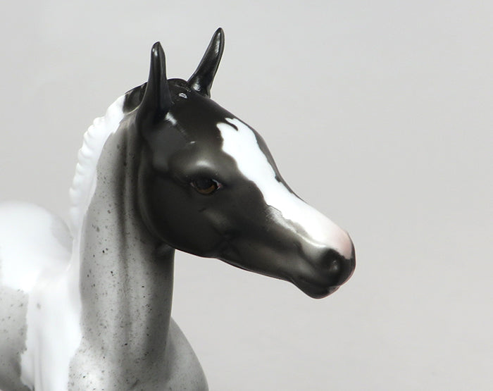 RYLEE-OOAK SPUNKY BLUE  ROAN PAINT FOAL MODEL HORSE 8/11